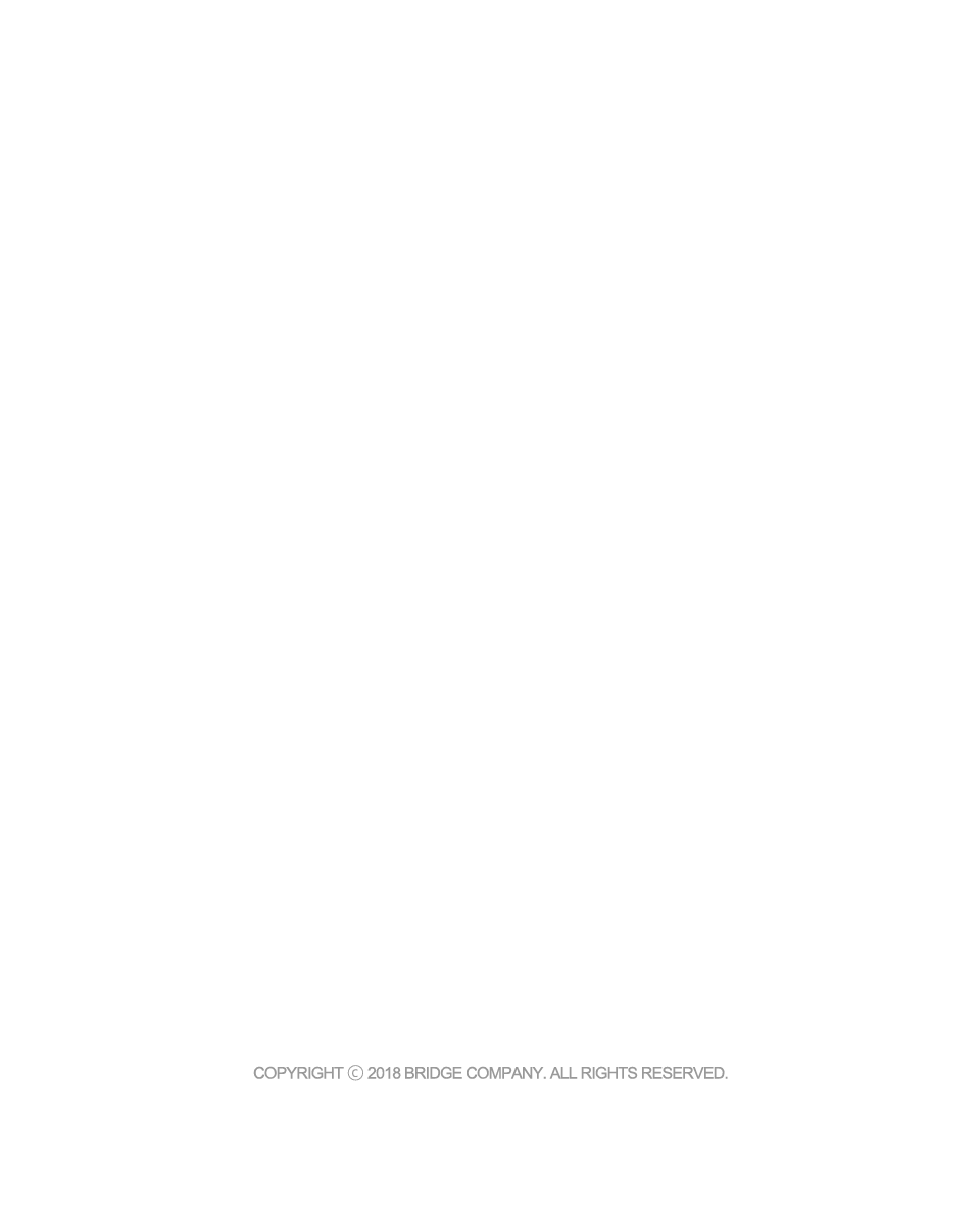 BRIDGE COMPANY mobile